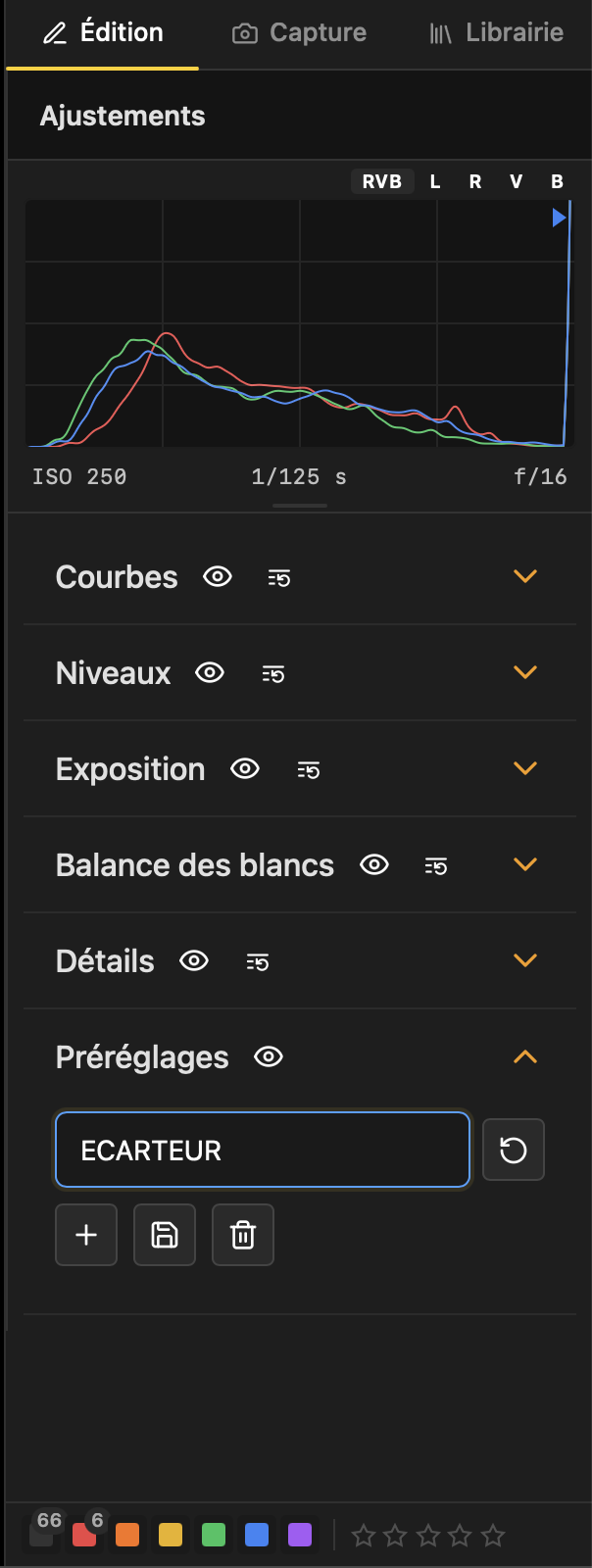 Panneau Ajustements : histogramme RVB, courbes, niveaux, exposition, balance des blancs, détails et préréglages enregistrés.